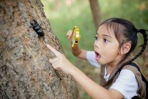 uma pequeno ásia menina usando uma lupa para estude uma veado besouro dentro uma parque. foto