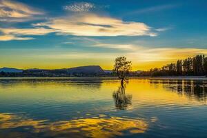 reflexões lago wanaka em pôr do sol, wanaka árvore Novo zelândia foto