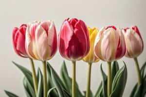 Primavera tulipa flores dentro uma linha. ai gerado foto