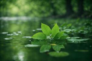 verde folhas refletindo dentro a água, raso foco. ai gerado foto