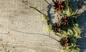 natural quadro, Armação fundo com uma Lugar, colocar para texto foto