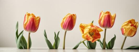 Primavera tulipa flores dentro uma linha. ai gerado foto