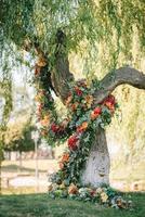 área para cerimônia de casamento, decoração com cadeiras em arco foto