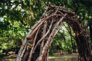 área de cerimônia de casamento foto