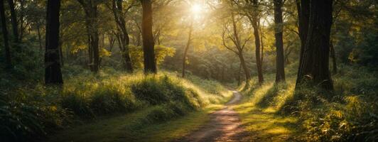 estrada dentro Sombrio floresta, luz solar, exuberante vegetação e grama. ai gerado foto