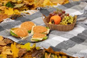 piquenique de outono na floresta, o cobertor encontra-se sobre as folhas amarelas caídas. frutas na cesta e hambúrgueres foto