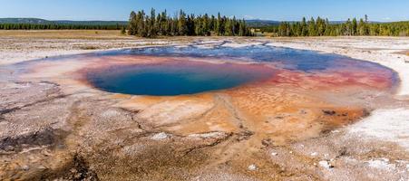 grande primavera prismática no parque nacional de yellowstone foto