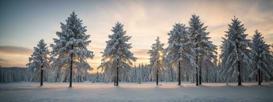 pinho árvores coberto com neve em gelado tarde. lindo inverno panorama. ai gerado foto