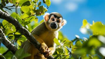 foto do esquilo macaco dentro ther floresta com azul céu. generativo ai