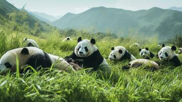 foto do uma rebanho do panda em repouso dentro a aberto área em a savana. generativo ai