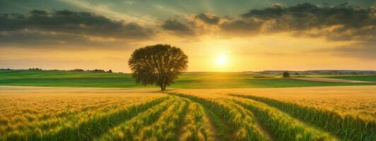 rural panorama com trigo campo em pôr do sol. ai gerado foto