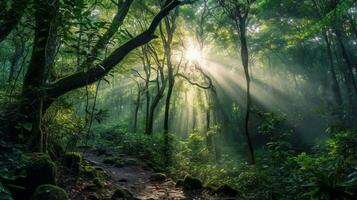 generativo ai, floresta maravilhas foco em a etéreo beleza do florestas foto