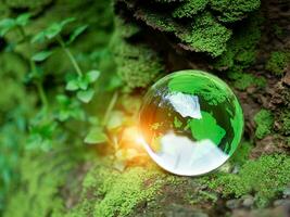 cristal bola em musgo dentro verde floresta. meio Ambiente conceito ecologia e sustentável meio Ambiente do a mundo. terra dia conceito. foto