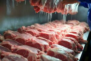Comida indústria empregado cortes cru carne de porco acima fechar para carne em processamento, refrigerado armazenamento ai gerado foto