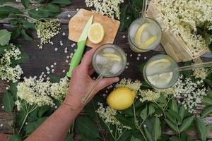 mão feminina segura um copo de suco de sabugueiro no jardim verde de verão. foto