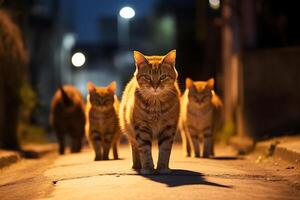 gato em a rua disperso gato gerado ai foto