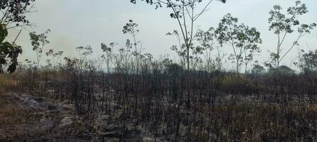 antigo terra incêndios foto