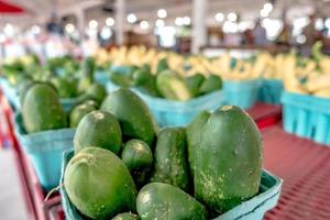 abobrinha orgânica fresca cultivada em uma fazenda local foto