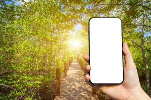 fechar-se do fêmea usar Smartphone borrado imagens dentro ponte de madeira caminhando caminho dentro a floresta mangue, viajante conceito foto