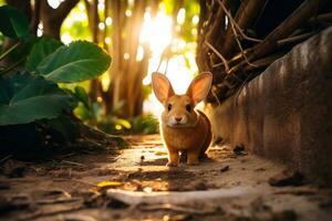 fechar-se do fofa Coelho com lindo bokeh fundo, generativo ai ilustração foto