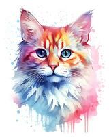 aguarela pintura colorida gato face é mostrando branco fundo foto