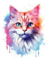 aguarela pintura colorida gato face é mostrando branco fundo foto