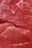 cru filé bife mignon carne com sal, especiarias e ervas foto