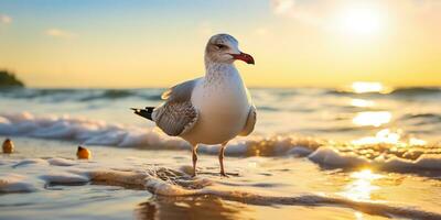 ai gerado. ai generativo. lindo mar náutico pôr do sol de praia ilha com gaivota pássaro. gráfico arte foto