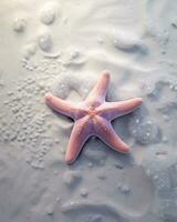 estrelas do mar em branco areia com água gotas, vintage tonificado. foto