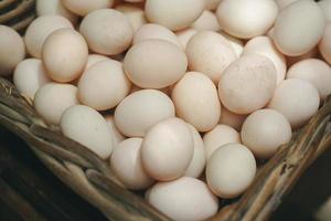ovos de pato frescos na cesta