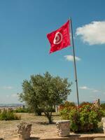 a cidade de tunis foto