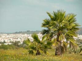 a cidade de tunis foto