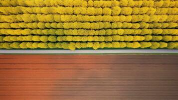 generativo ai, Fazenda outono paisagem, agrícola Campos, lindo verde, amarelo, laranja e bege interior, país estrada. natureza ilustração, fotorrealista topo Visão drone. foto