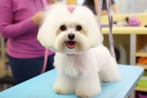 a tranquilo mundo do uma maltipoo cachorro. generativo de ai foto