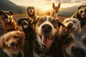 uma grupo do cachorros levando uma selfie em uma borrado fundo. generativo ai foto