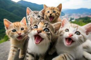 uma grupo do gatos levando uma selfie em uma borrado fundo. generativo ai foto