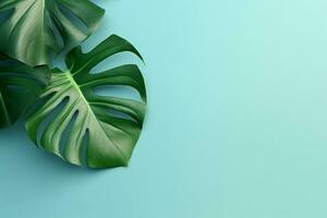 monstera folhas em verde pastel mínimo background.generative ai. foto