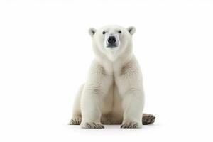 polar Urso isolado em branco fundo .generativo ai. foto