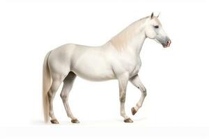 cavalo isolar em branco background.generative ai. foto