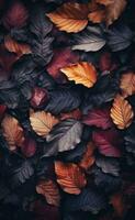 fundo de folhas caindo de outono foto
