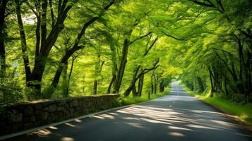 caminho caminho através a outonal floresta natural caminho, estrada para a tropical floresta campo, relaxante com ecológico ambiente, liberdade estilo de vida conceito, generativo ai ilustração foto