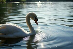 gracioso cisne graciosamente nada dentro uma tranquilo água corpo ai gerado foto