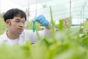 cientista Verifica químico Comida resíduos em ar livre. ao controle experts inspecionar qualidade do frutas, legumes. laboratório, perigos, rohs, encontrar Proibido substâncias, contaminar, microscópio, microbiologista foto