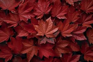 vinho vermelho outono folhas textura, outono natureza fundo, ai generativo foto