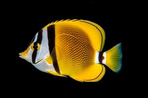 mar vida exótico tropical coral recife cobre borboleta peixe. neural rede ai gerado foto