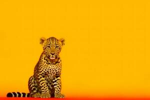 leopardo em uma amarelo fundo. neural rede ai gerado foto