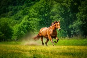 baía cavalo corre galope em deserto areia contra azul céu. neural rede ai gerado foto