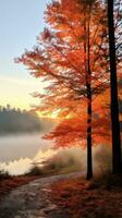 nebuloso manhã com árvores mudando cores. foto