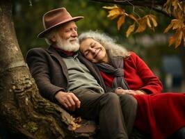 amoroso velho casal é desfrutando uma romântico outono dia ai generativo foto