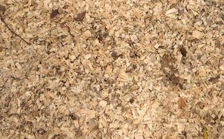 textura de lascas de madeira, fundo natural de revestimento de piso foto